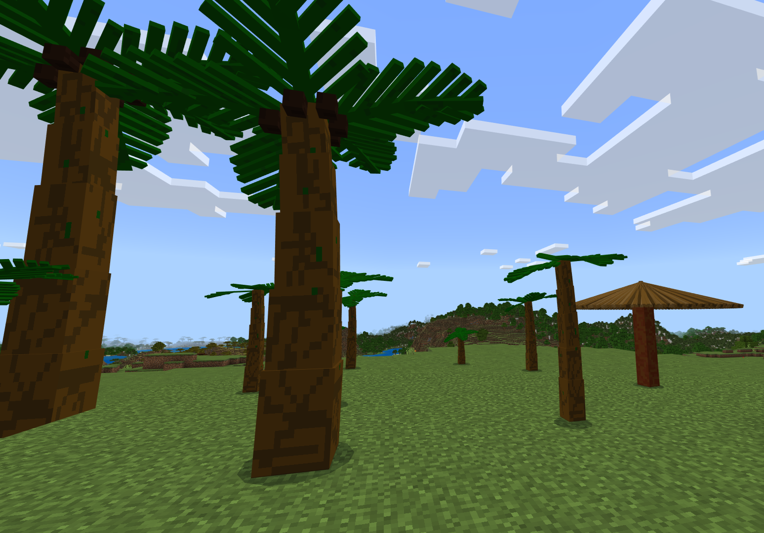 Palm trees and sunshade